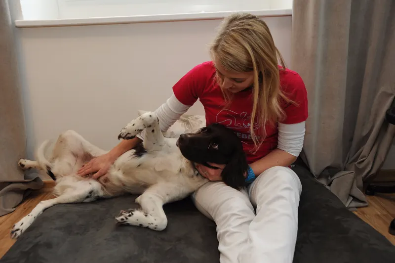 Ein Hund liegt entspannt auf dem Behandlungstisch, die Tierärztin streichelt ihn
