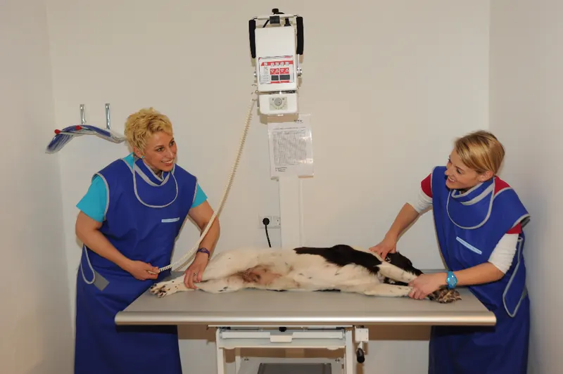Dr. Elke Zimmermann und ihre Assistentin bei einem Eingriff unter Inhalationsnarkose