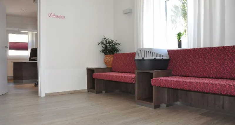Wartebereich mit roten Sitzbänken und einer Transportbox